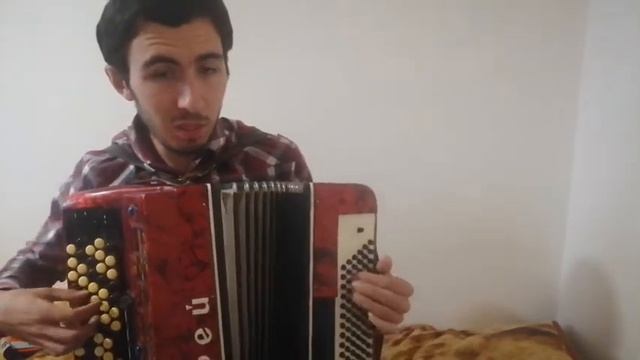 Мы маленькие дети. из к/ф "Приключения Электроника" , на баяне смотреть онлайн