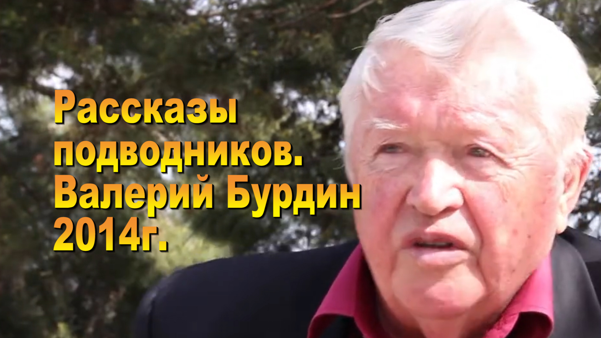 Рассказы подводников 2014. Валерий Бурдин.Гидроакустик и знаток дельфинов