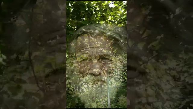 "ОДИН СТАРИК" Лилия Филь(Березкина)