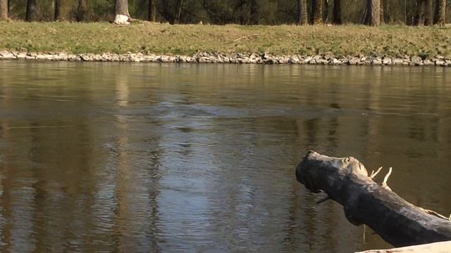 Просто природа/einfach Natur смотреть онлайн