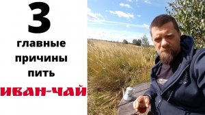 Три Главные причины пить ИВАН-ЧАЙ
