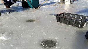 Рыбалка в Приморье. Открытие зимней рыбалки 2020-2021. Корюшка (писуч).