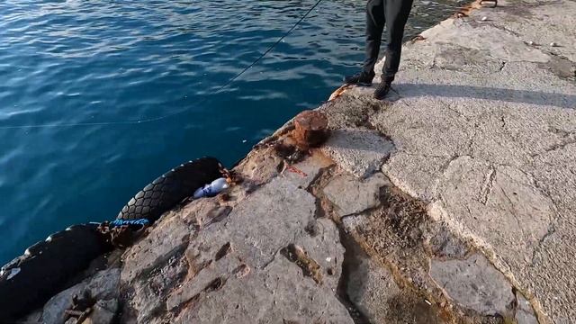 Морская Рыбалка После Шторма. Ловля Саргана, Ставриды и Морского Окуня!