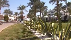 Шарм эль Шейх Sonesta Club Hotel