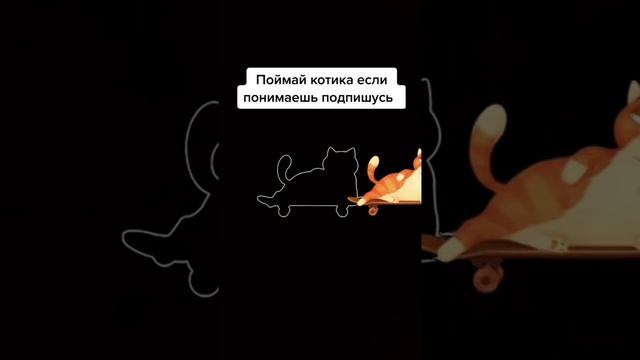 Поймай котика