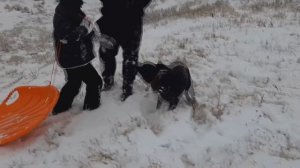 НАРЯЖАЕМ ЕЛКУ И КАТАЕМСЯ НА ЛЕДЯНКЕ ПЕРВЫЙ РАЗ