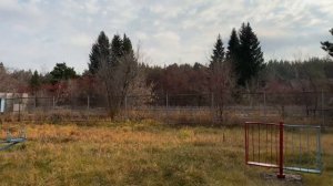 Поездка в заброшенный пионерский лагерь Восход 30 лет спустя. Омск, Красноярка. Видео iPhone 11