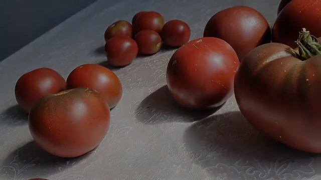 Томат ПЕРВЫЙ ПОМОЩНИК 2020г смотреть онлайн