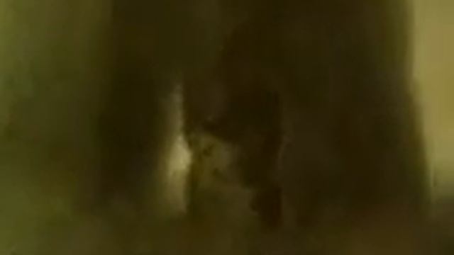 Ёжик в кумаре смотреть онлайн