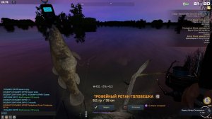 Fisher Online ХЕРСОН ДЕЛЬТА РОТАН ГОЛОВЕШКА