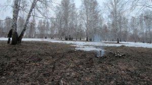 Одиночный поход   в ВЕСЕННЕМ ЛЕСУ