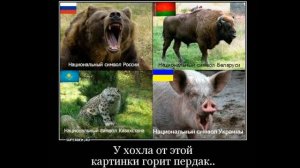 ХОХЛОВ НЕНАВИДЯТ!!! ЧТО О НАС ДУМАЕТ ВЕСЬ МИР! ВСЯ ПРАВДА!!!