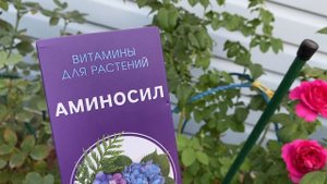 Купила витамины для роз, Аминосил, попробую применить! Пролила несколько роз на пробу!