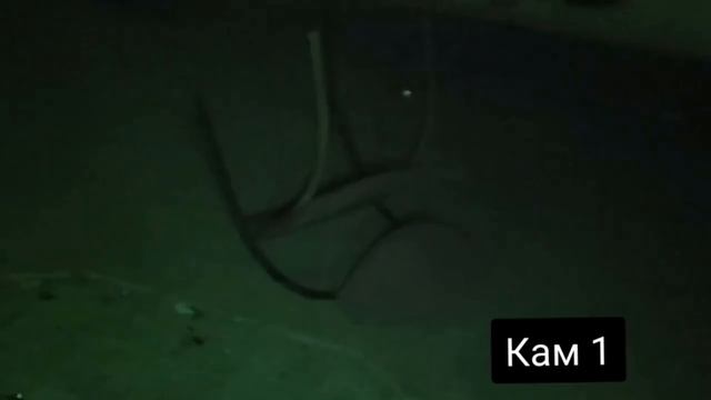 100 Самые Страшные Видео   Мегаподборка Страшных Видео   Попробуй не испугаться