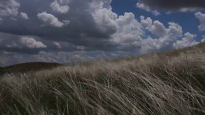 Ковыль. Шелковая трава степи. Клуб Путешественников Gde.kg