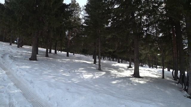 Вятские Поляны панорама.