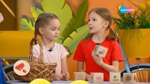 Амелия Колпакова в гостях "Лапы, морды и хвосты" о собаке Ньюфаундленд - Карусель, 09.06.2020