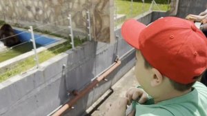 Теберда Домбай июнь 2023