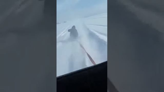 Езда по Бухтарме зимои смотреть онлайн