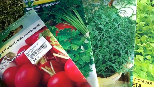 Дача- это тяжёлый случай...25.04.23. смотреть онлайн