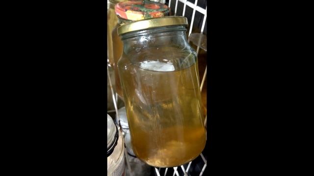 Воздушный мицелий или плесень? смотреть онлайн