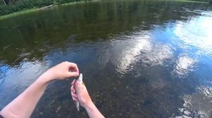 Suzuki df 9.9(20) bs водомёт & Выдра 380jet. Рыбалка на р. Ухта.