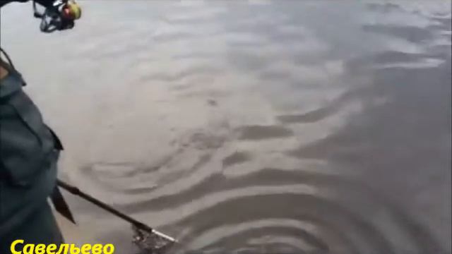 Рыбалка в Савельево-1 смотреть онлайн