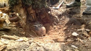 КЛАД В КУВШИНЕ! МНОГО ДОРОГИХ БРИЛЛИАНТОВ И РЕДКОГО ЗОЛОТА! НАШЛИ ТАЙНИК ЮВЕЛИРА!