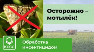 Осторожно – луговой мотылёк!