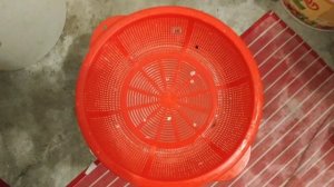 Как Сохранить Живца Зимой на балконе в пластиковых ведрах