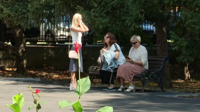 В Саратове преображают сад "Липки"