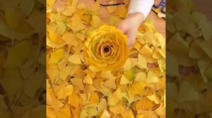 Осенний букет своими руками