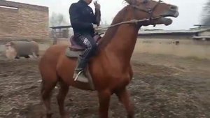 Данчак.Барои реклама.тел 92-811-20-06.ватсап