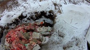 Скотомогильник