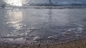 Рыбалка в средиземное море на спиннинг ,МЫ НАШЛИ ОВЦУ В МОРЕ ДОХЛУЮ !! И Я УПАЛ В ЛЕДЯНУЮ ВОДУ 🥶🥶