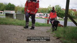 BRK-Hunde: Besser als jede Technik  - die Rettungshundestaffeln in Bayern