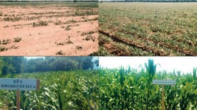 Шунгит. Рекламный ролик. MMC 2007г.