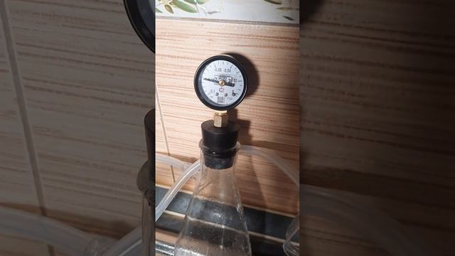 Водоструйный пластиковый вакуумный насос (Water jet plastic vacuum pump)