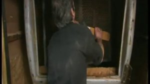 Как сделать дубление кожи