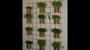 Vertical Garden More Ideas.