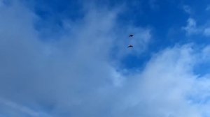 ОДИНОЧНАЯ ОХОТА НА ГУСЯ 2023. День первый!