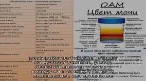Нормальный цвет мочи