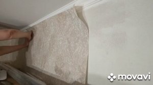 Как избавится от грибка на стенах и поклеить обои