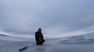 Ловля судака со льда. Балансир, блесна.
