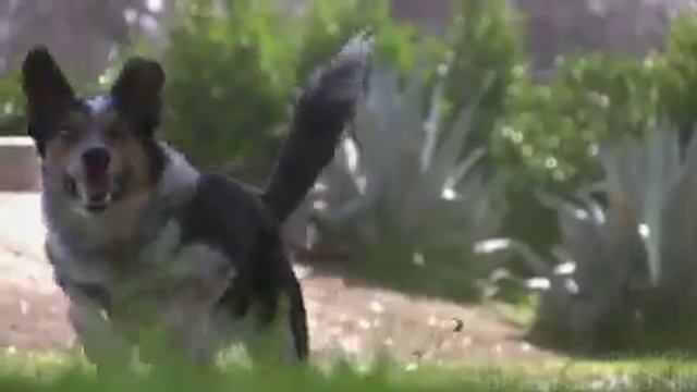 Вот это разминка! смотреть онлайн