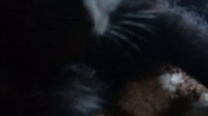 песня "Соня лучше всех!"