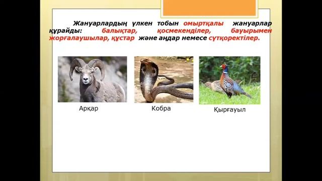 Жануарлардың көптүрлілігі 5 сынып жаратылыстану