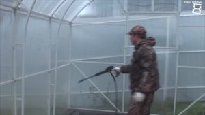 СУПЕР СПОСОБ ПОМЫТЬ ТЕПЛИЦУ. КРИСТАЛЬНО ЧИСТЫЙ ПОЛИКАРБОНАТ. САД (ОГОРОД) И ТЕПЛИЦА