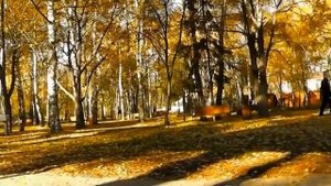А Маятник Качается