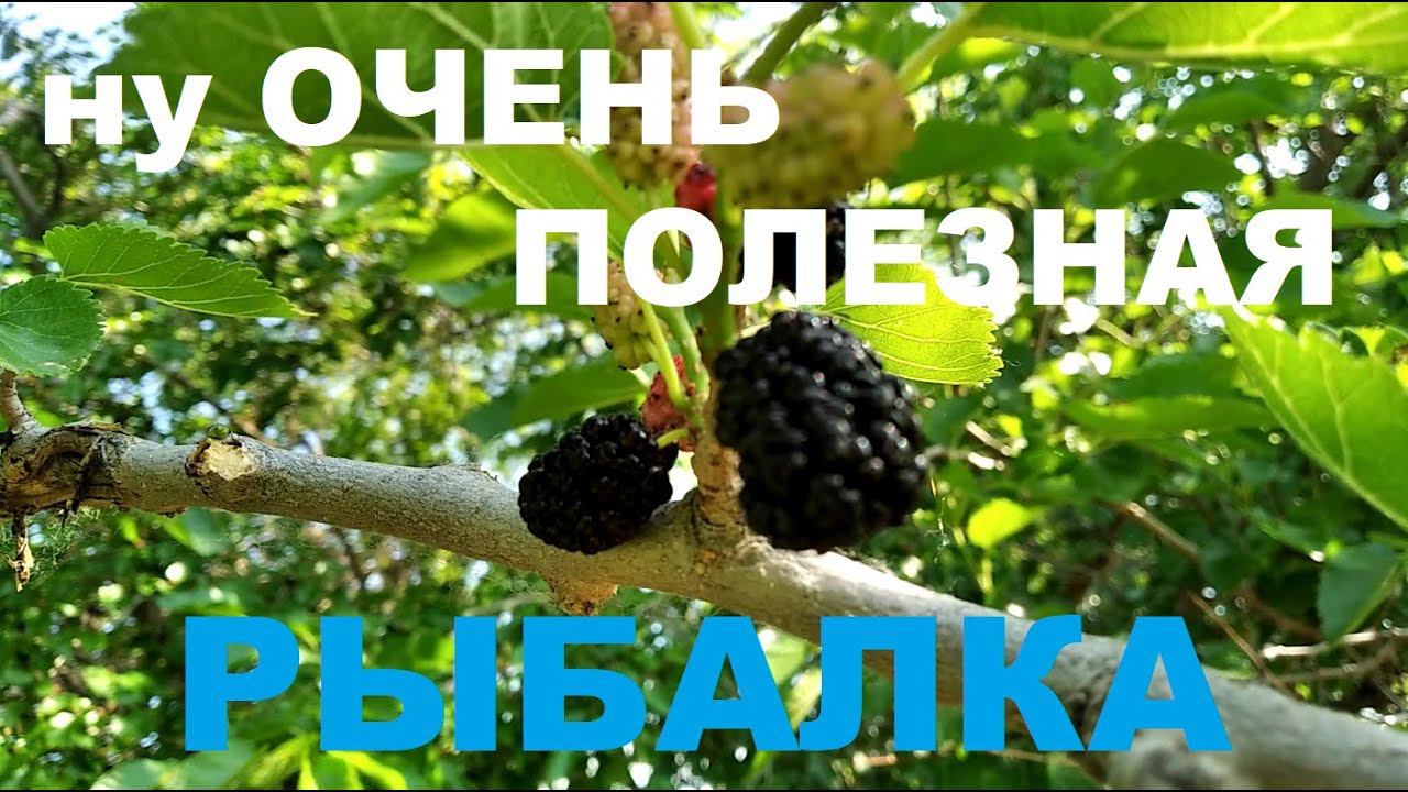 ну ОЧЕНЬ ПОЛЕЗНАЯ Рыбалка.